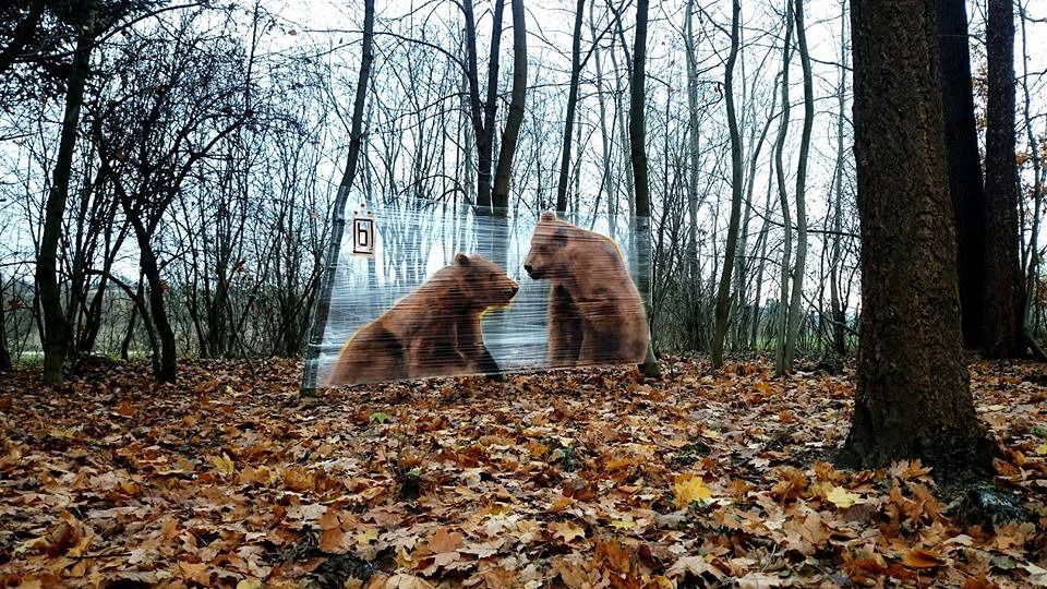 Graffiti Wall in Polska - Photo by bohen - montana, mtn, mtn94 (2014)