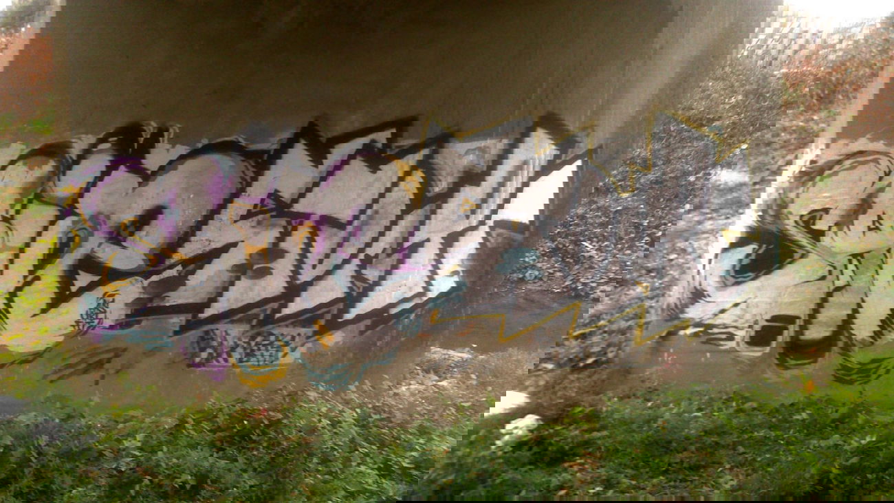 Graffiti Bombing - Photo by bombrstompr - saine, stompr, url (2013)