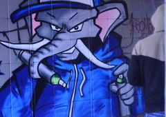 Photo #35121 by Berg