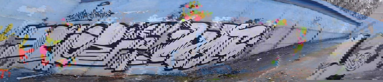 Graffiti Wall in Wodzislaw Slaski - Photo by boner1985 - boner, wait, wbc