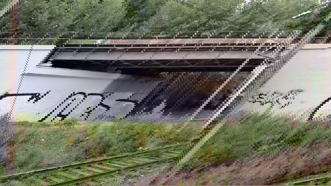 Graffiti Bombing - Photo by boner1985