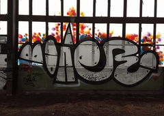 Photo #178876 by TagHagel