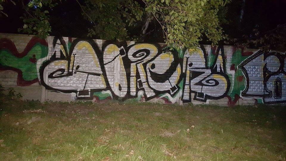 Graffiti Bombing - Photo by boner1985