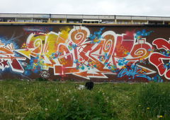 Photo #153169 by thedirtydefkid