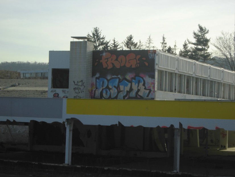 Graffiti Wall - Photo by bonn - frog, frok, postr (2011)