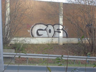 Graffiti Bombing - Photo by bonn - gos, gringos, dens (2013)