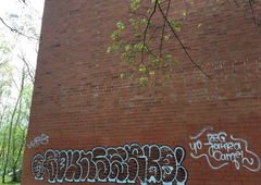 Photo #208860 by isak