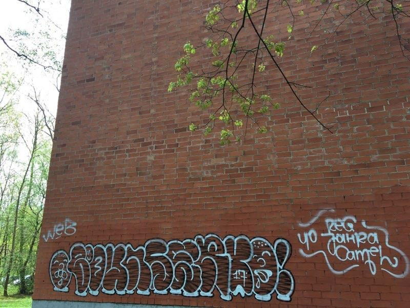 Graffiti Wall - Photo by bou2020