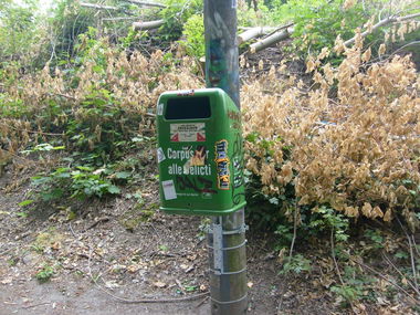 Graffiti Wall - Photo by bpowder - main, crew, rules