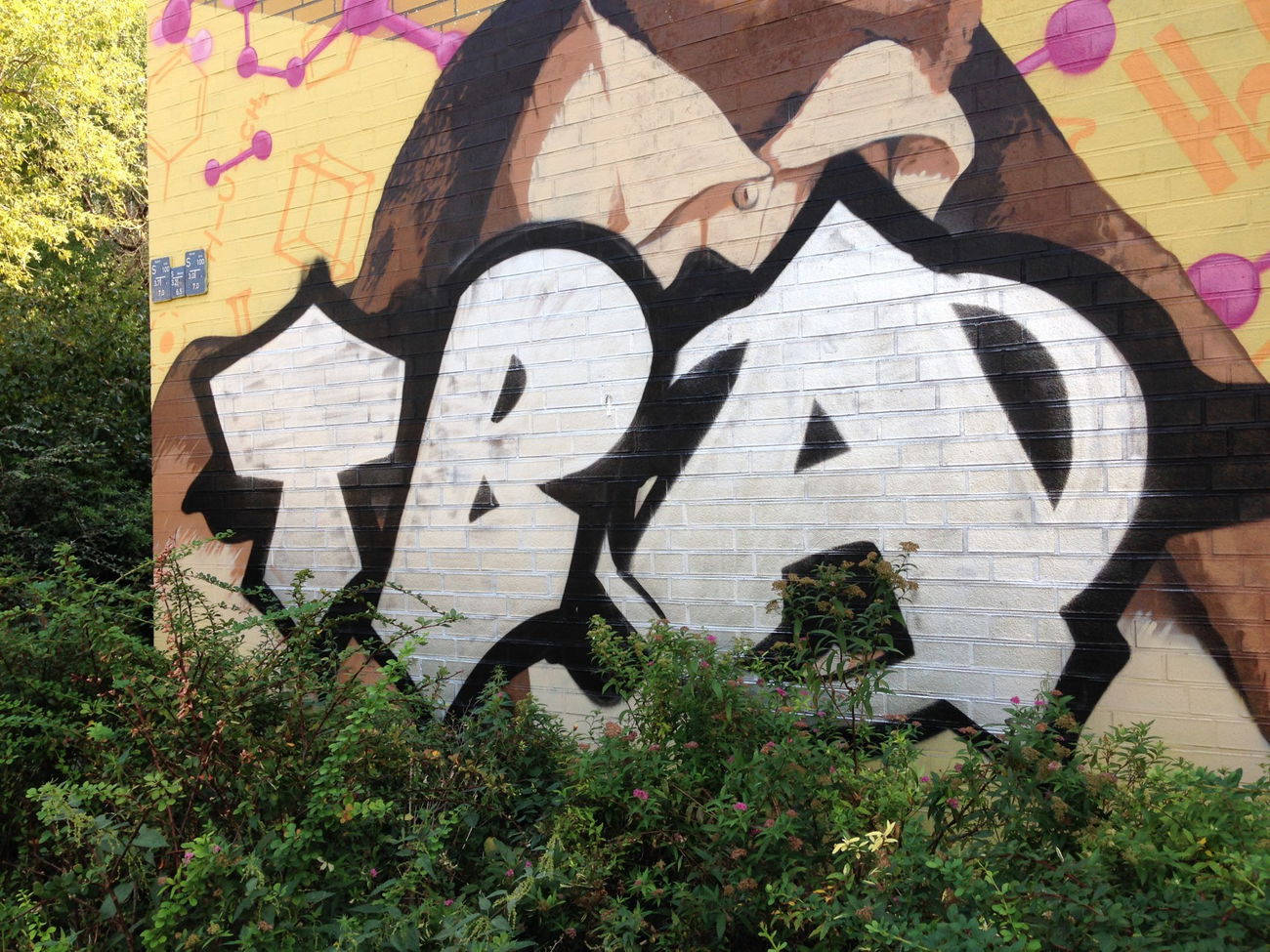 Graffiti Wall - Photo by bpowder - berlin, tba