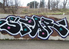 Photo #164444 by gosejohann