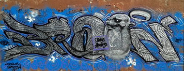 Graffiti Wall in Deutschland - Photo by braintogo - chrome, brain