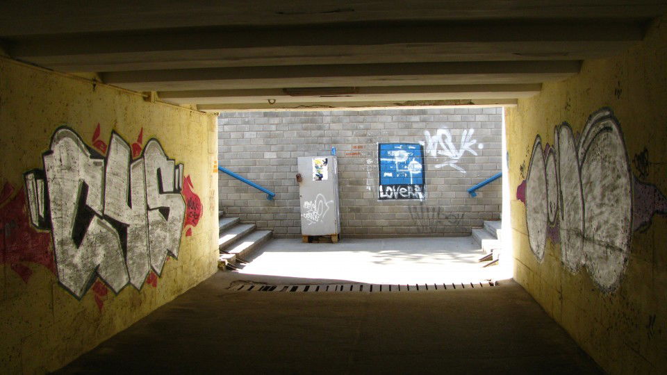 Graffiti Bombing in Orenburg - Photo by bsnk_c45 - c45, bsnk, cows