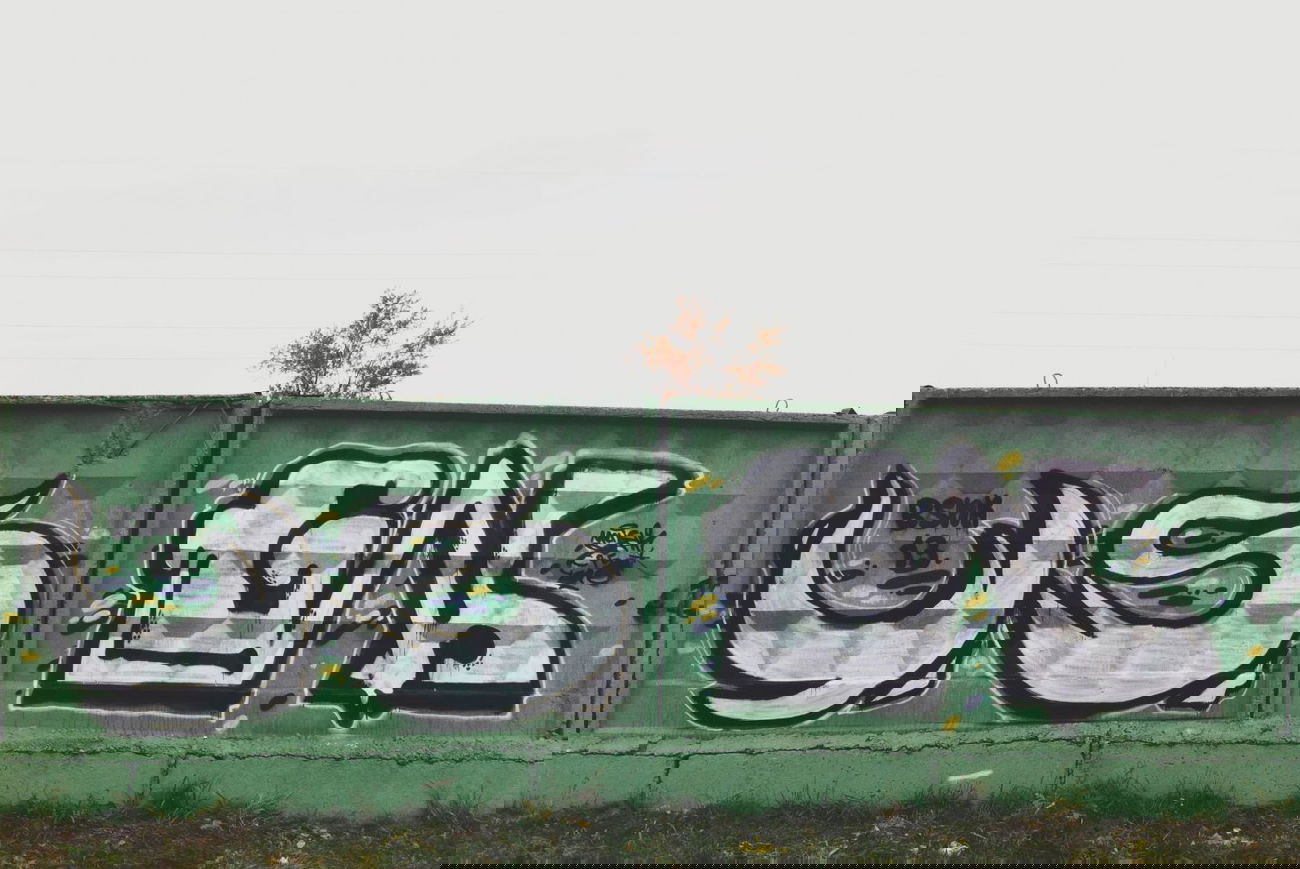 Graffiti Bombing - Photo by bsnk_c45 - c45, bsnk, ????