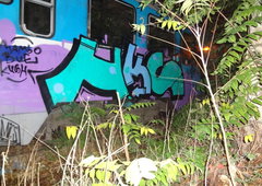 Photo #49028 by vedos