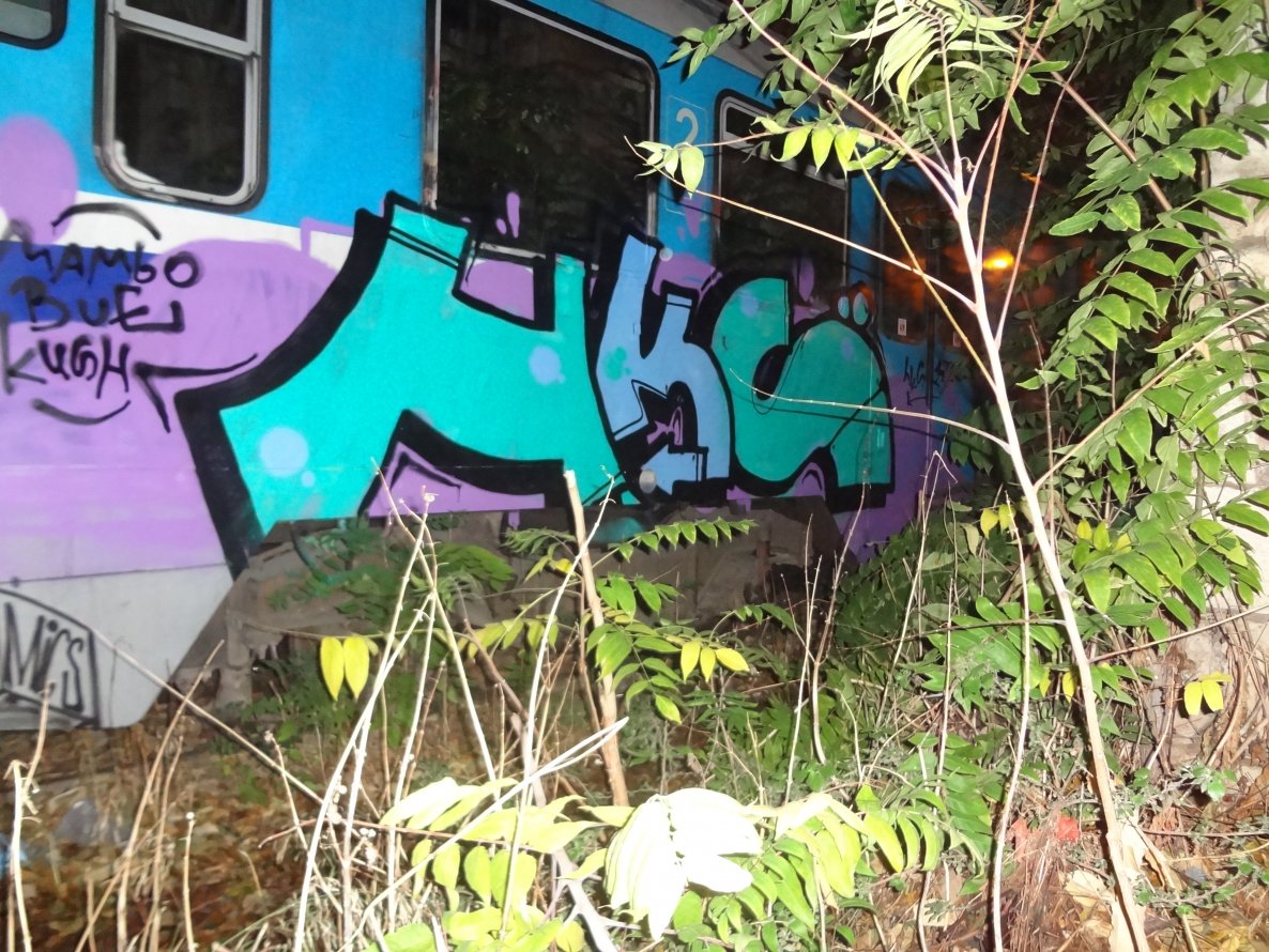 Graffiti Train - Photo by bue