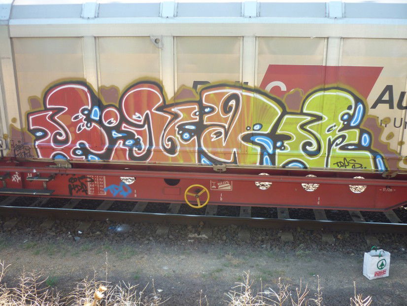 Graffiti Train - Photo by bug (2013)