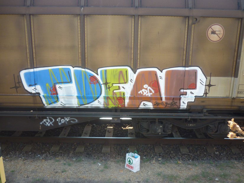 Graffiti Train - Photo by bug