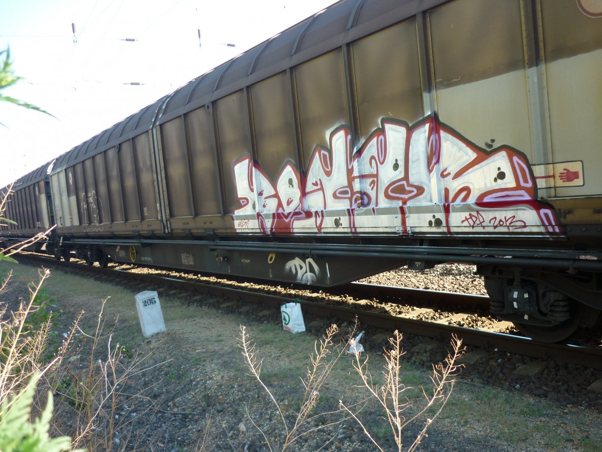 Graffiti Train - Photo by bug - tdf (2013)