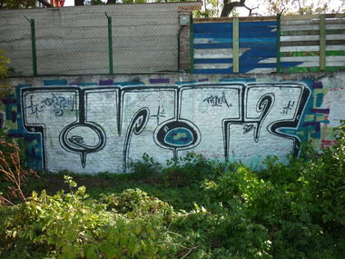 Graffiti Bombing - Photo by bug - tinta (2013)