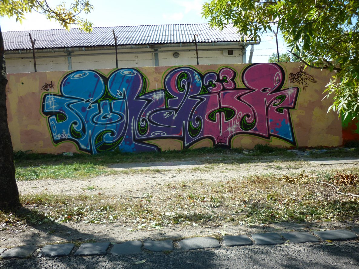 Graffiti Wall - Photo by bug - tdfilatori (2013)