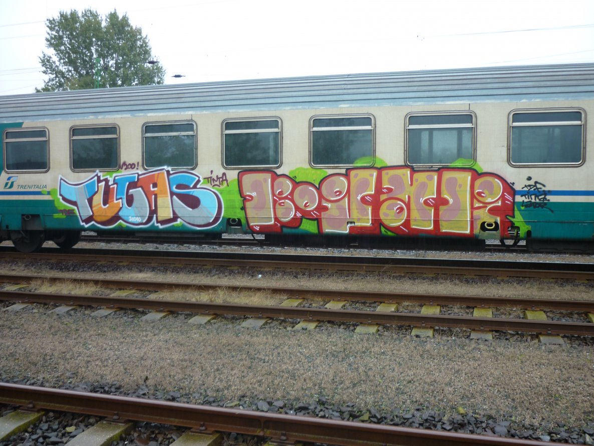 Graffiti Train - Photo by bug - tdf (2010)