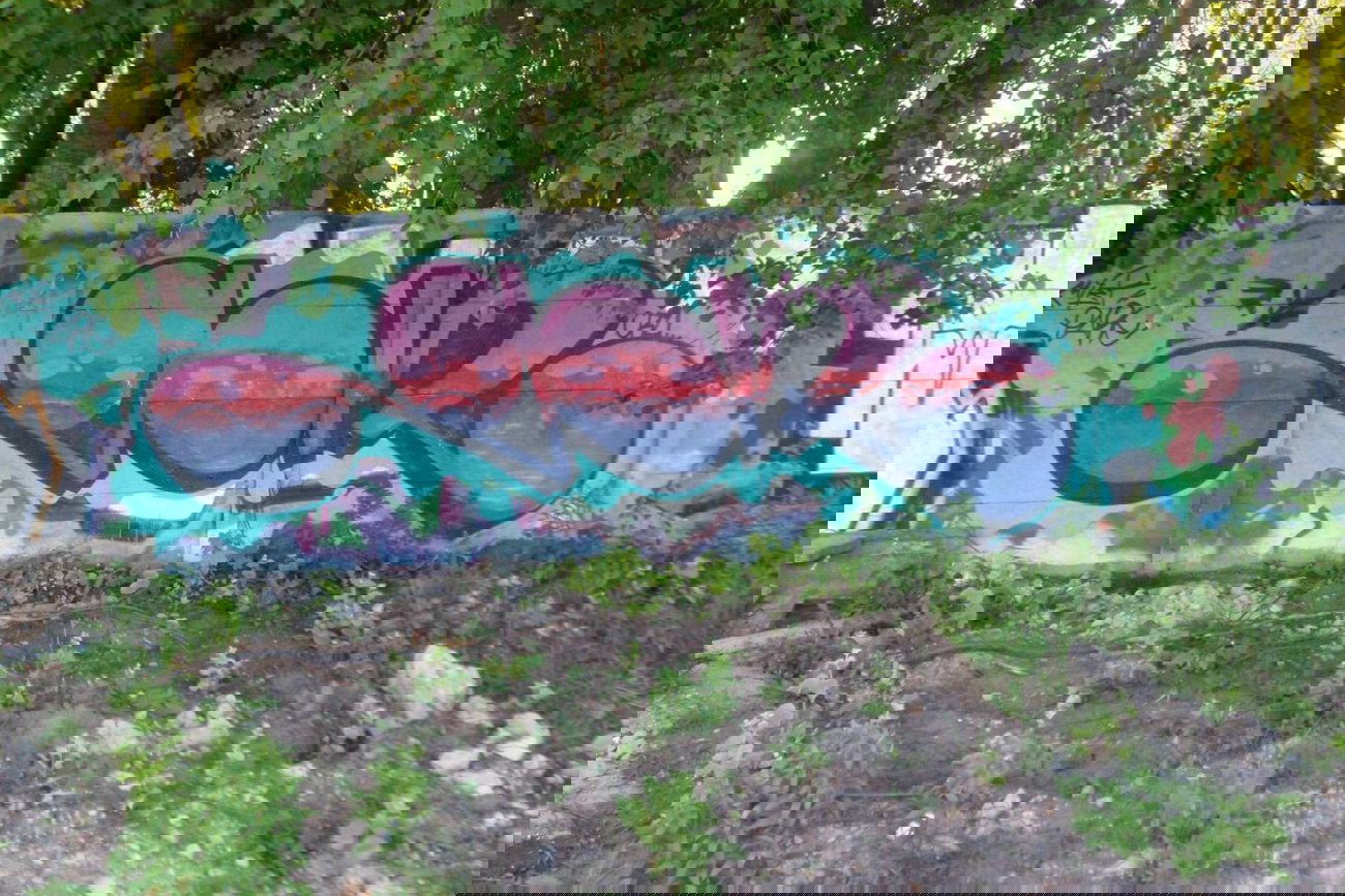 Graffiti Wall - Photo by buldii - do, gie, do (2013)