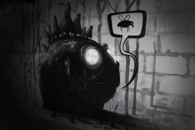 Graffiti Wall - Photo by burok - burok, frog, black (2014)