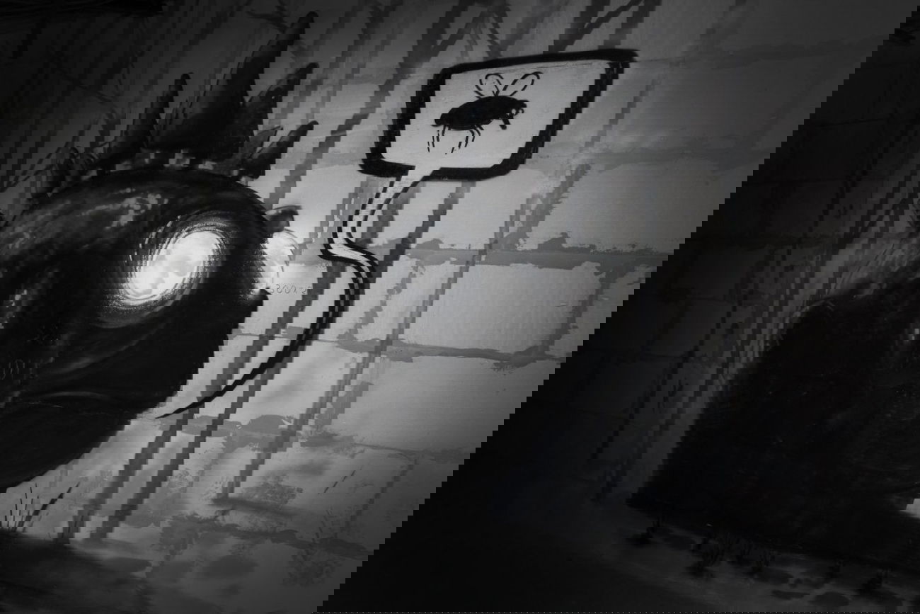 Graffiti Wall - Photo by burok - burok, frog, black (2014)