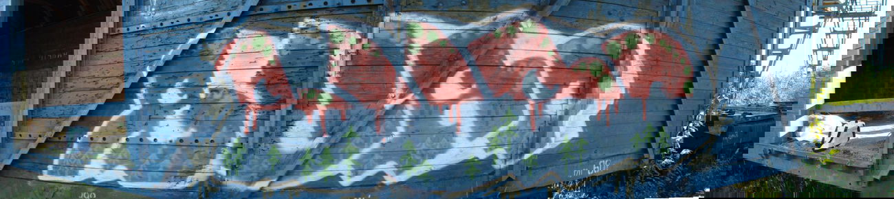 Graffiti Wall - Photo by burpklp