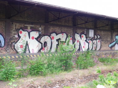 Graffiti Bombing in Dresden - Photo by butterbroetchen - Nofun, Leo