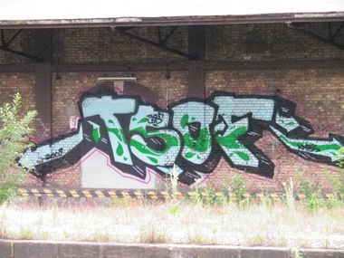 Graffiti Bombing in Dresden - Photo by butterbroetchen - Tsof