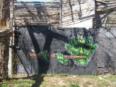 Graffiti Wall in Vinnytsia - Photo by buz - ??? (2013)