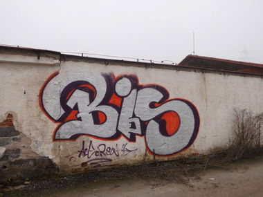 Graffiti Bombing in Lodno - Photo by byskok - bis
