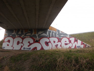 Graffiti Bombing - Photo by byskok - acecrew