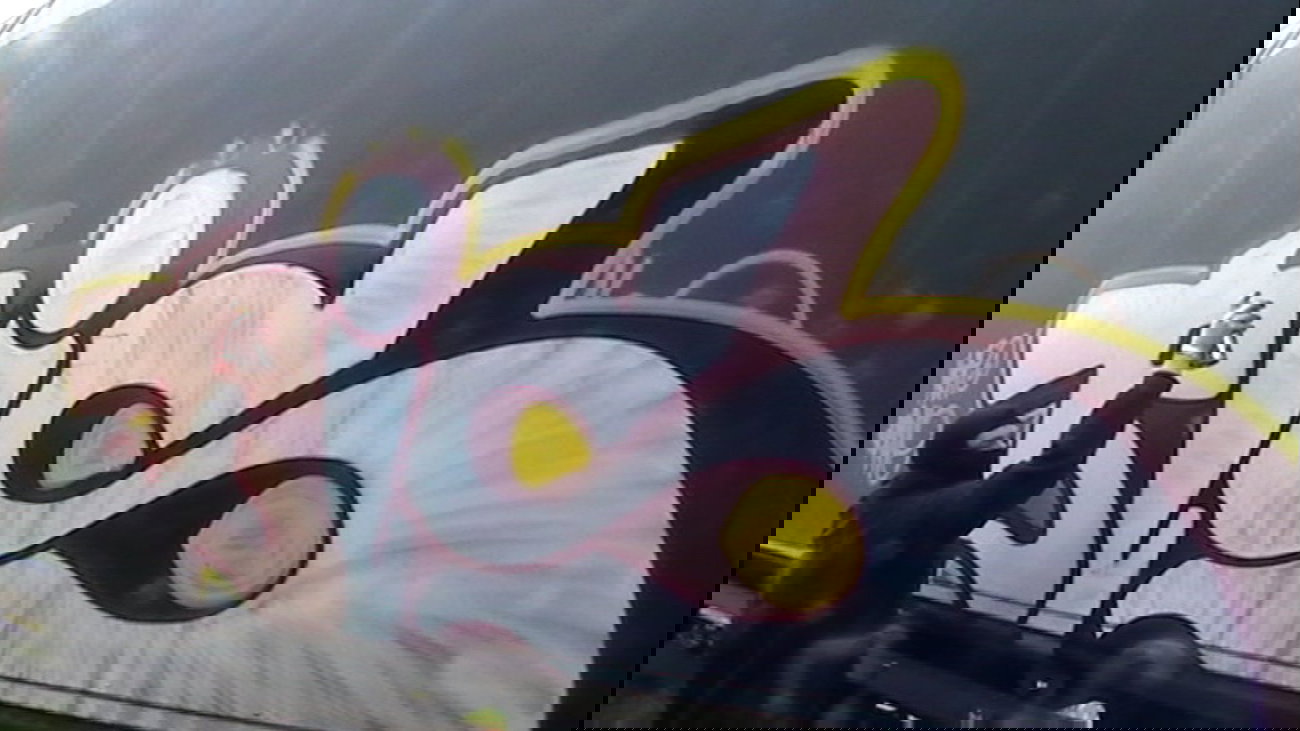 Graffiti Train - Photo by byskok - hh