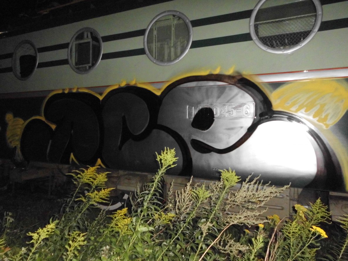 Graffiti Train - Photo by byskok