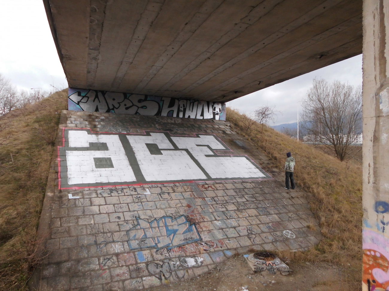 Graffiti Bombing - Photo by byskok