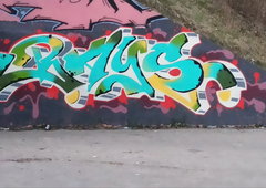 Photo #249644 by TheWallHunter