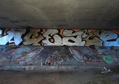 Photo #249845 by TheWallHunter