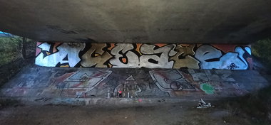 Graffiti Bombing - Photo by byskok