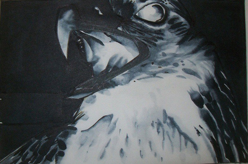 Graffiti Sketch - Photo by c1ok - Adler (2012)