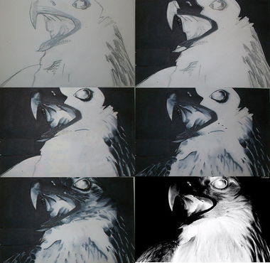 Graffiti Sketch - Photo by c1ok - collage (2012)