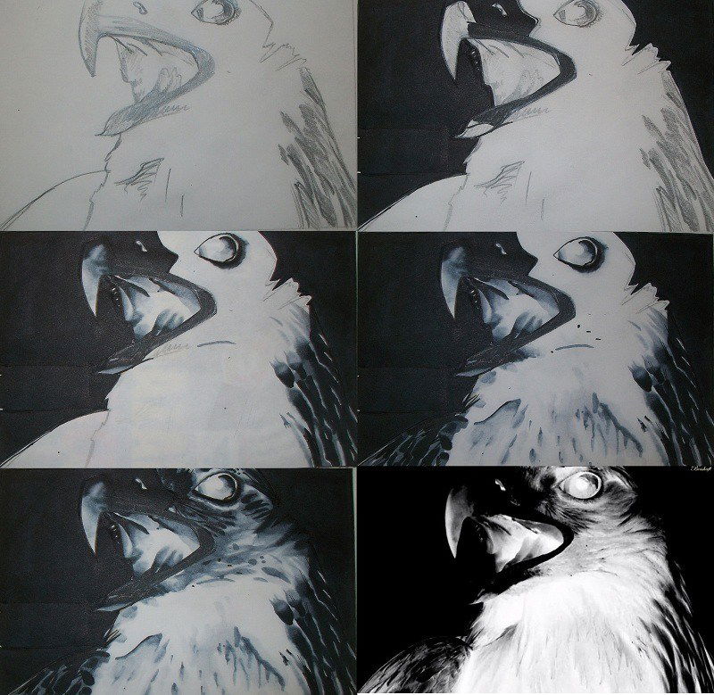 Graffiti Sketch - Photo by c1ok - collage (2012)