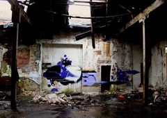 Photo #39121 by Belt