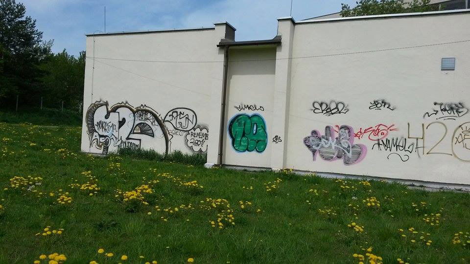 Graffiti Bombing - Photo by cameldrips