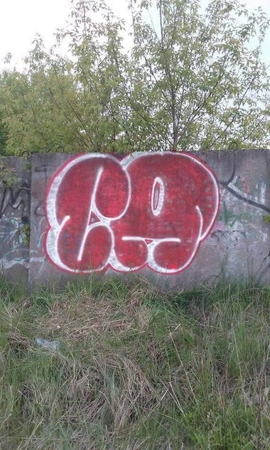 Graffiti Bombing - Photo by cameldrips