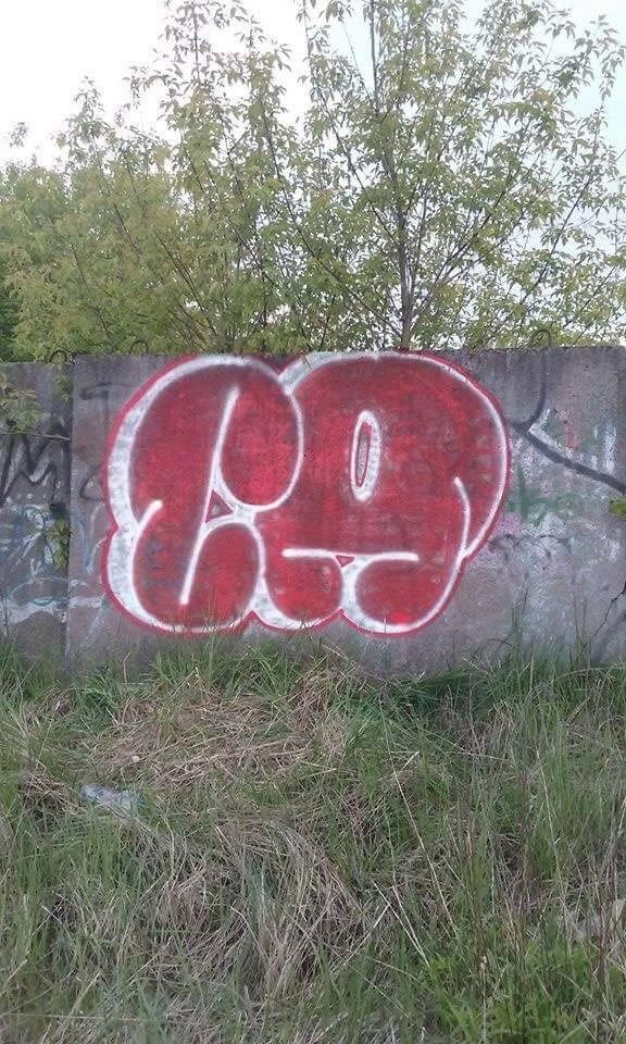 Graffiti Bombing - Photo by cameldrips