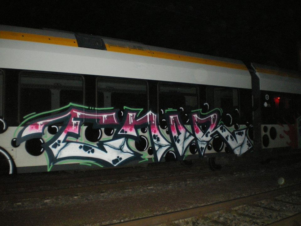 Graffiti Train - Photo by canman - hate