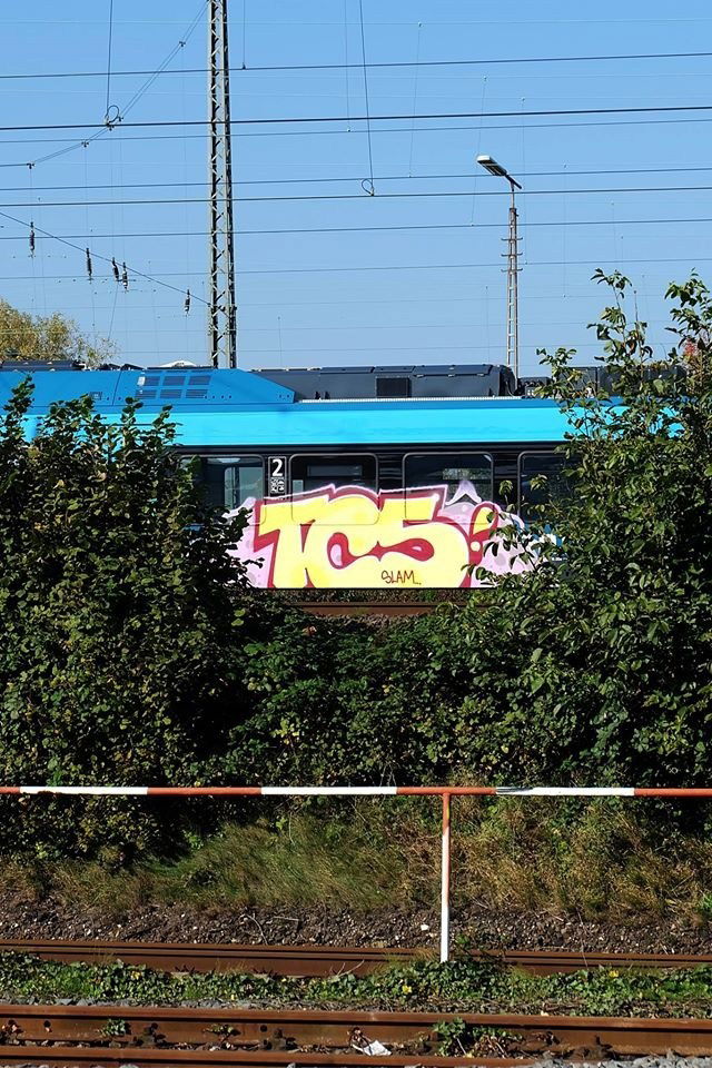 Graffiti Train - Photo by canman - tcs